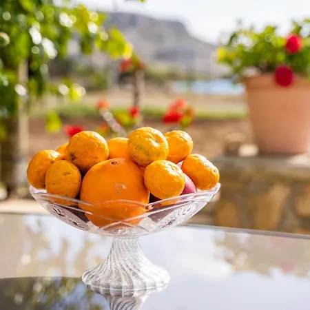 Venetia's Garden Appartamento Lefkos (Karpathos)